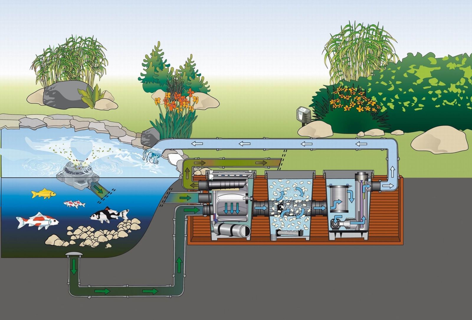 Hệ thống lọc nước hồ cá Koi
